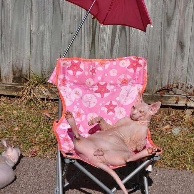 CammyLT's tweet photo. @kiernankardash You on a hot day 😎😂😂 https://t.co/qj0OlN5pqL