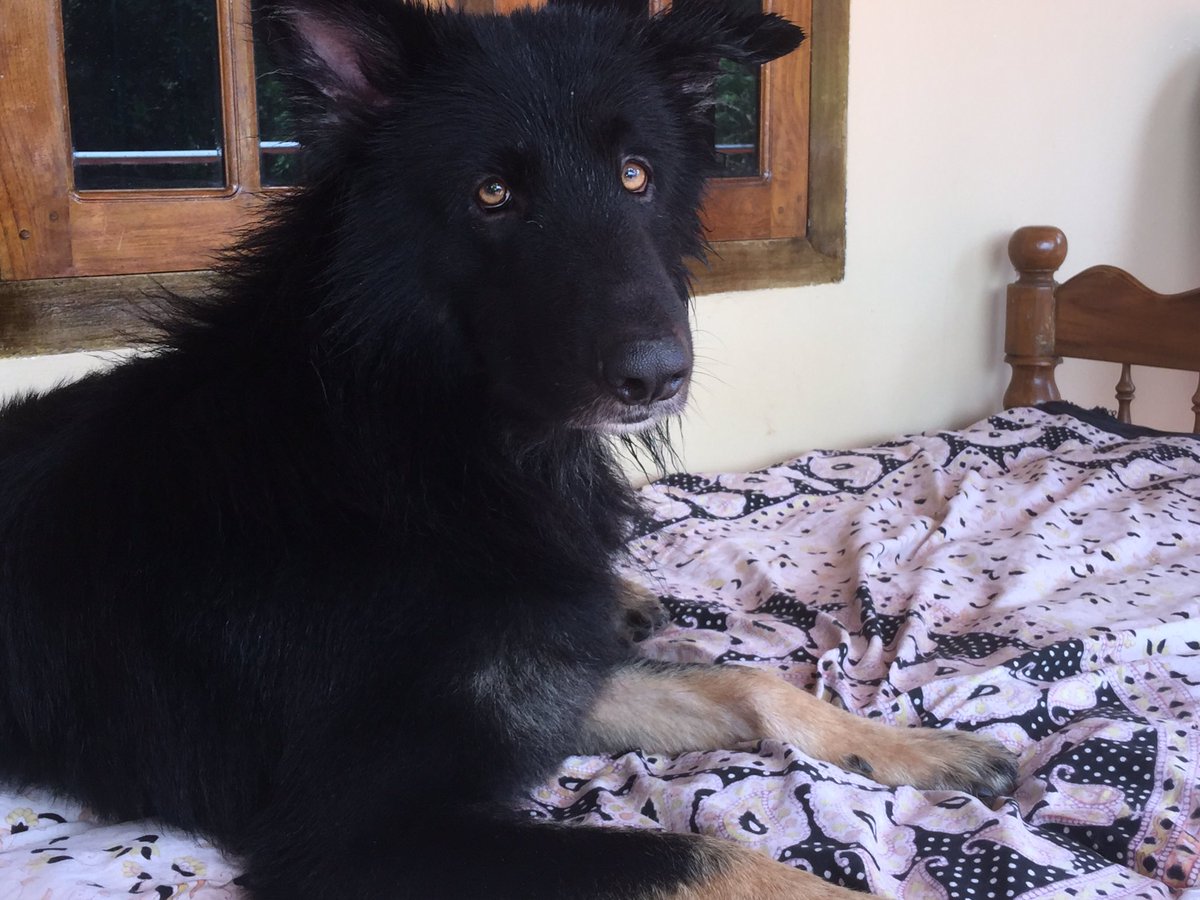 GsdRubyR's tweet image. Don!!!