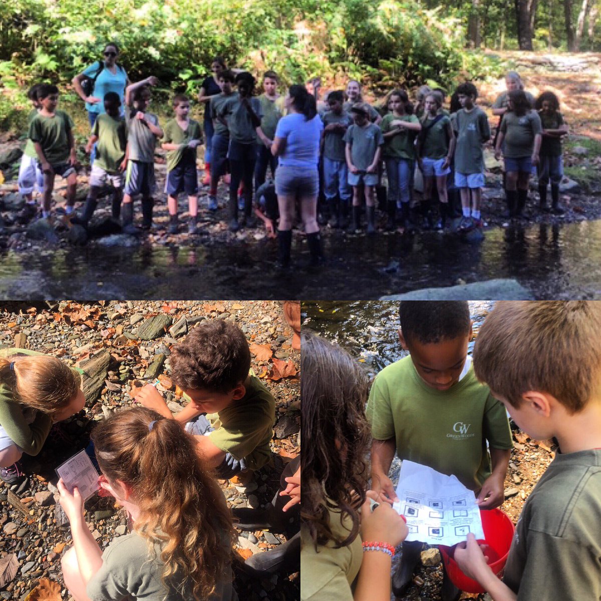 LMConservancy's tweet photo. When 4th graders reference "milling industry" & identify a Blue Heron. #greenwoodscharter #educationwin #brainpower #sharpkids https://t.co/ZiPhMnJaMj