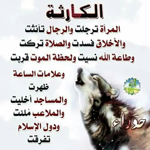 الزعيم (@ahmadabfullah) on Twitter photo 