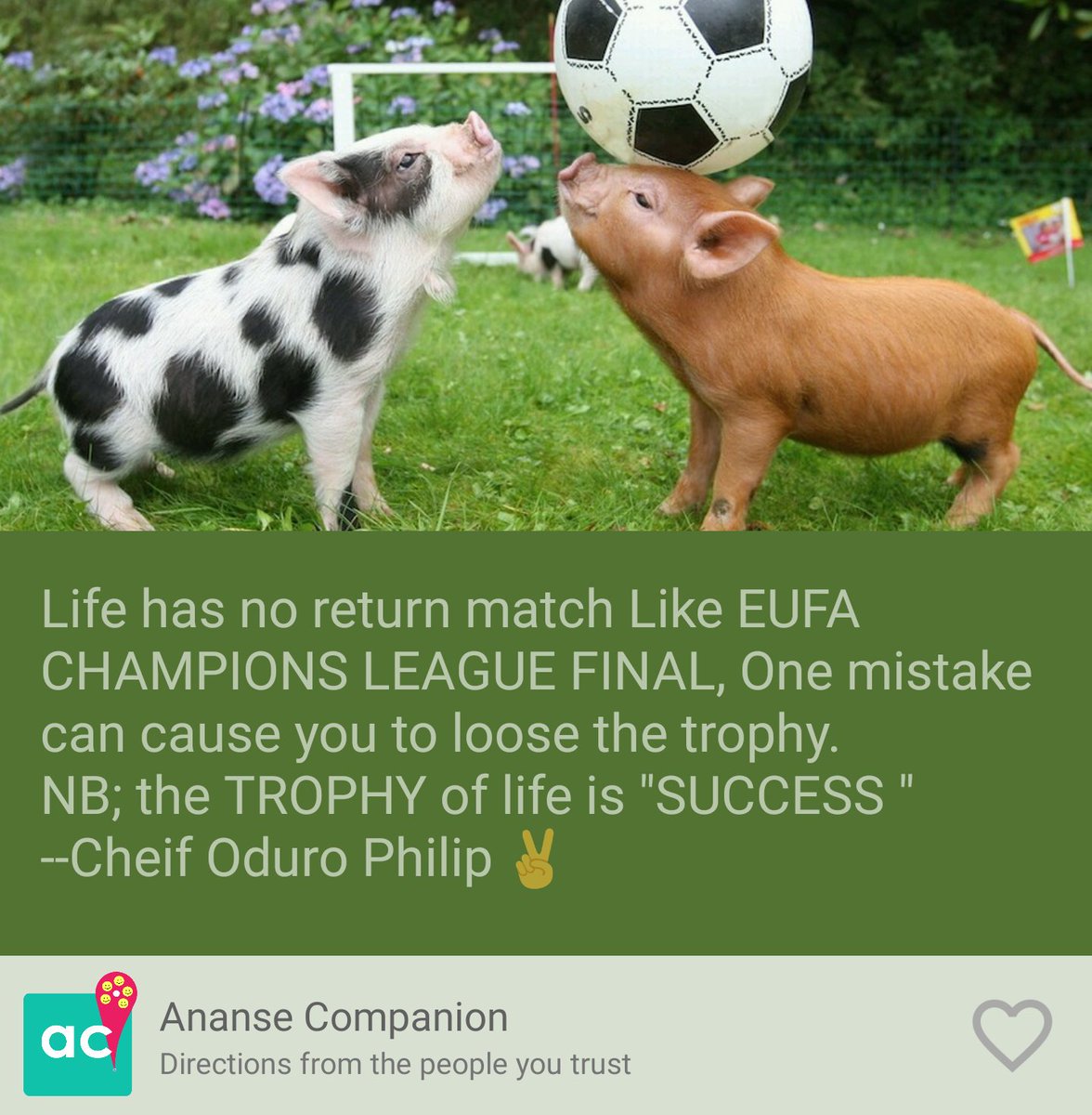 anacquote's tweet image. Enjoy your evening #anacquote