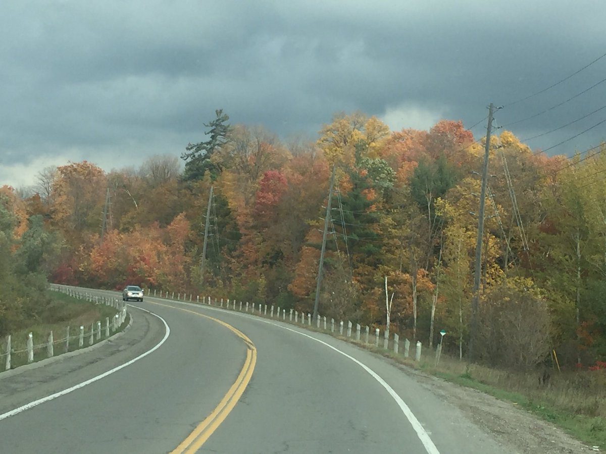 BernsteinStacey's tweet photo. #clic2016 time for reflection on the way to Kleinberg Ontario https://t.co/TujI6BBxUS