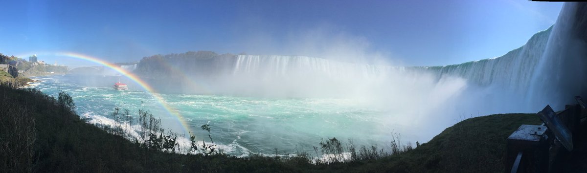 gghatco's tweet photo. Nature is amazing. https://t.co/I6SDGbovX6