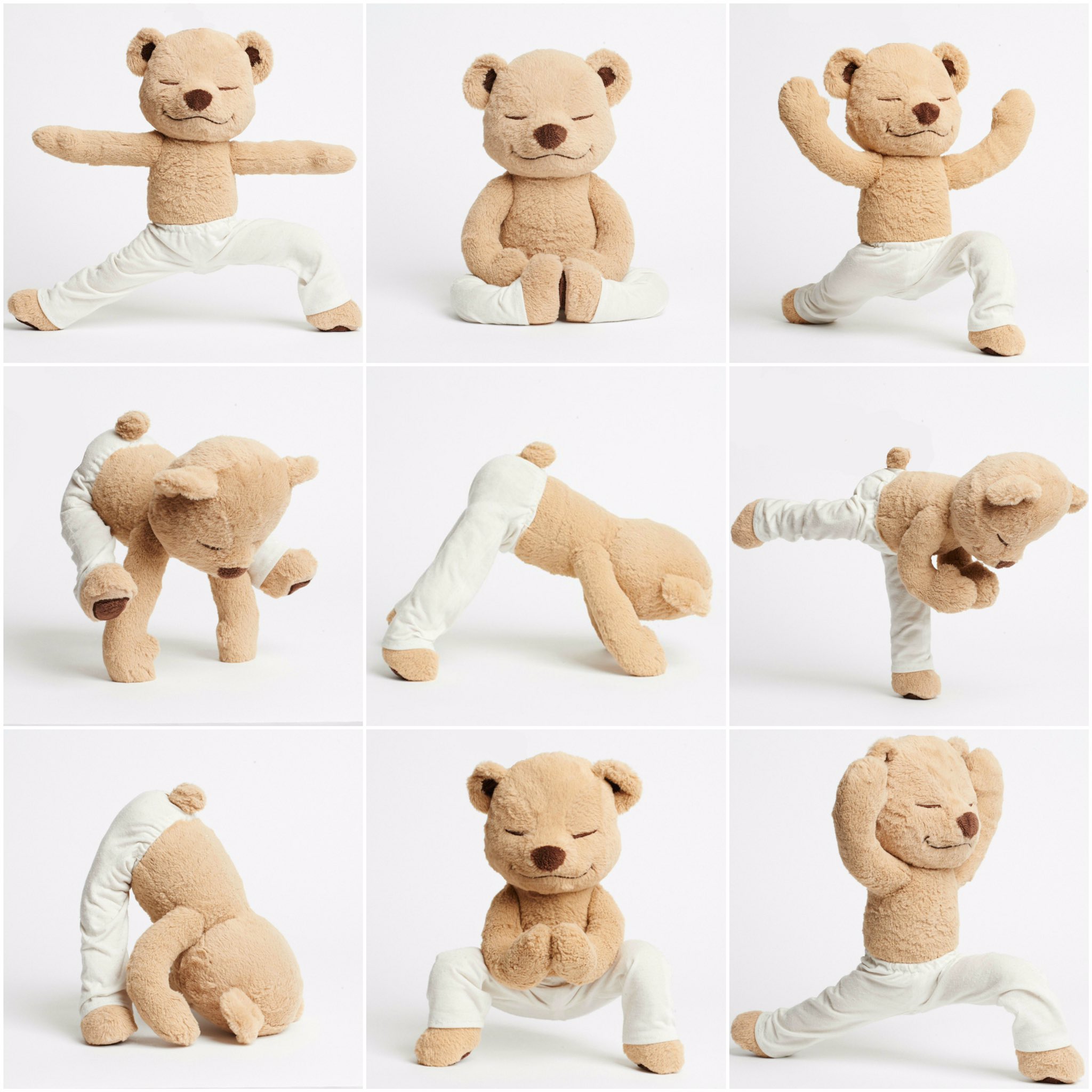 Meddy Teddy♡クマのヨガ ぬいぐるみ♡ Meddy Teddy♡クマのヨガ ぬいぐるみ♡