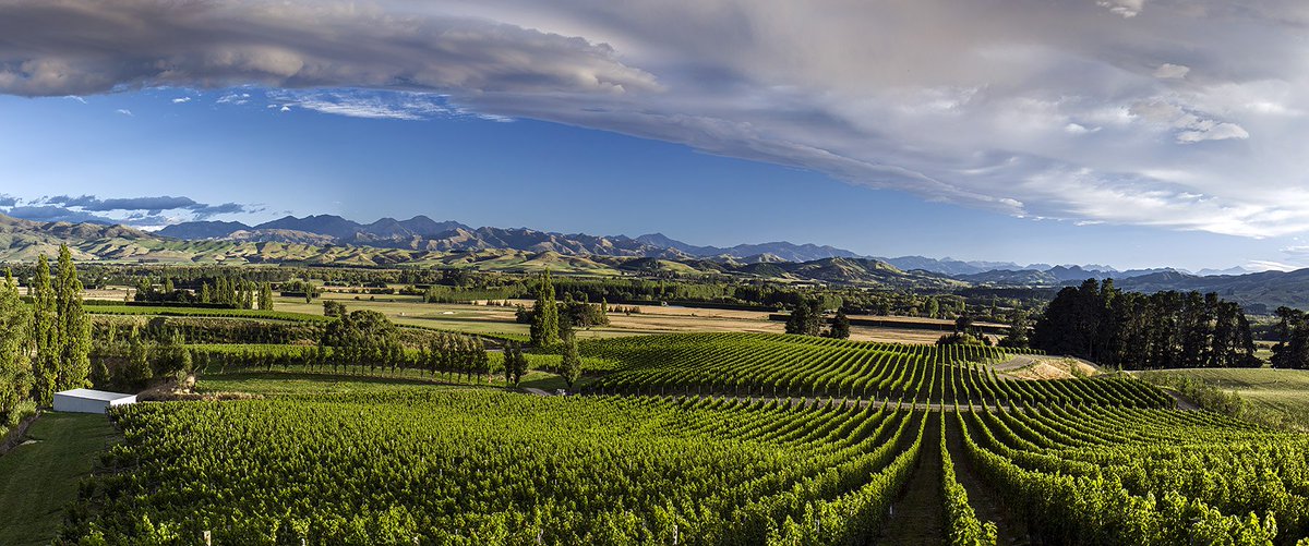 RydgesLatimer's tweet photo. Check out these top 10 day trips from #Christchurch. Venture from ocean to alps in less than two hours by car. https://t.co/XIZs5t0BVZ https://t.co/8FcrjhM84j