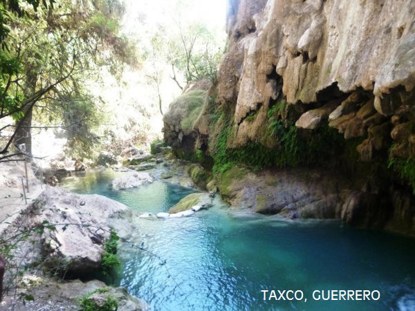 VisitMex tweet picture