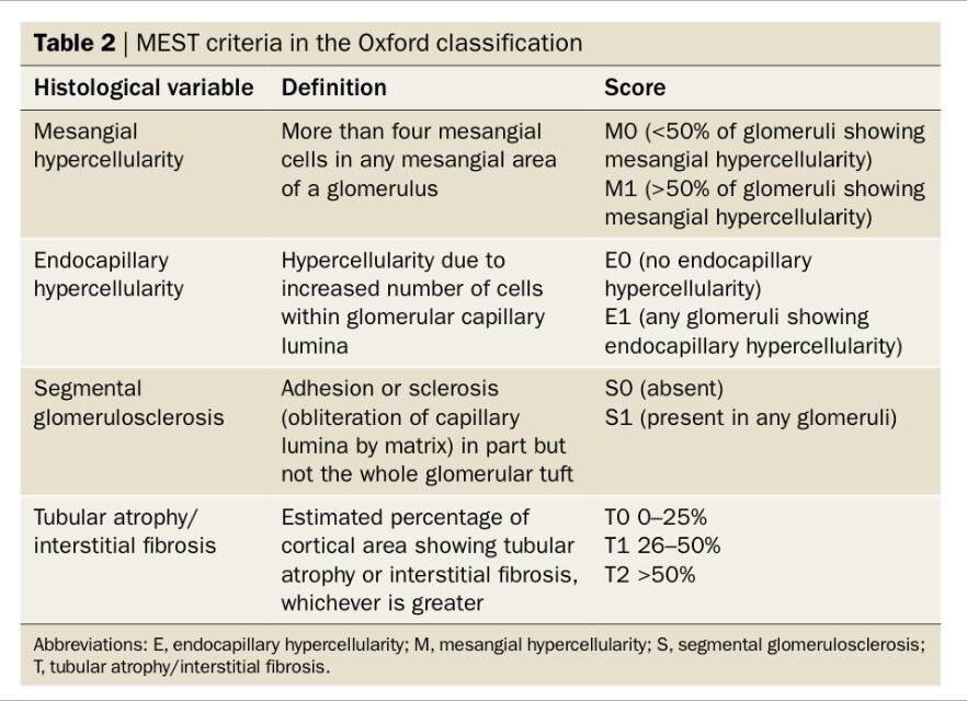 edgarvlermamd's tweet photo. OXFORD Classification of IgA Nephropathy: MEST criteria #Nephpearls #NephJC https://t.co/jpOsnnCSCU https://t.co/k04NEpAsnN
