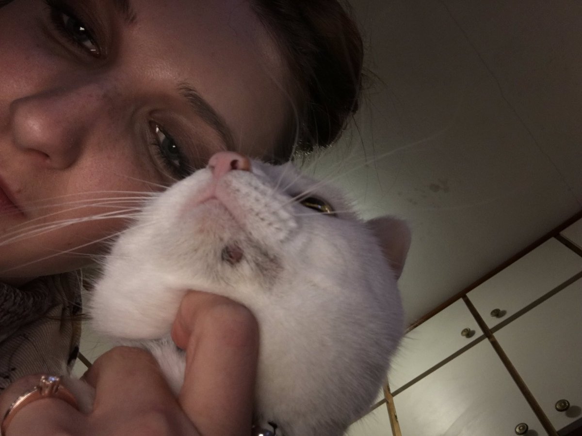 catsof_1837's tweet photo. Kitty friends, do you get acne like me? Make sure your parents clean your food bowls regularly. My mom also put witch hazel on my chin. https://t.co/joaNOHuvQ9
