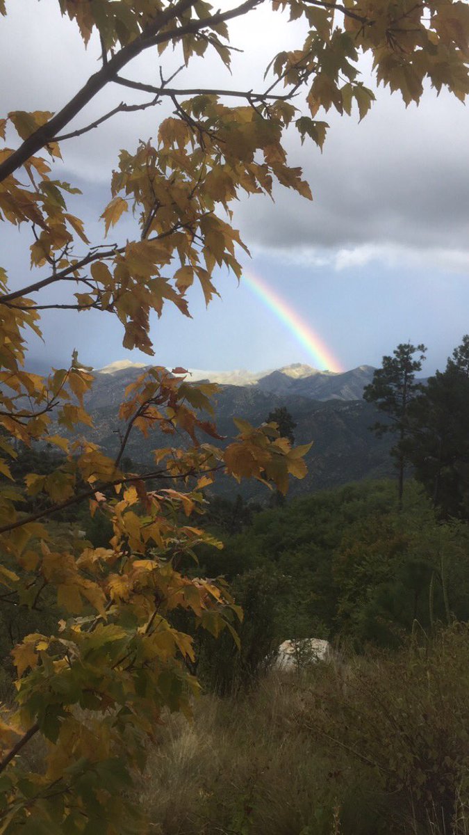 sidth3kid1's tweet photo. Mt Lemmon is a hell of a place. Would never believe it's in Tucson! https://t.co/Iu1wtMedi3