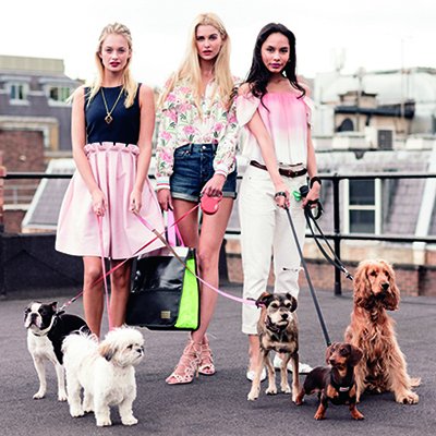 prweekuknews's tweet photo. Health, Beauty, Retail &amp; Fashion: Award goes to @PitchLondon for @Lyst's Canine Collection campaign! #PRWeekAwards https://t.co/kEOsMHxZOC