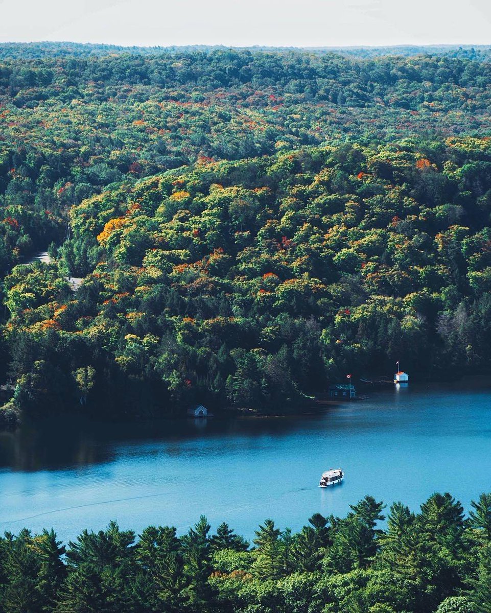 ExploreCanada's tweet photo. The views from the Dorset Scenic Lookout Tower are rather hard to beat. 📷  @chaiwalla  #DIscoverON #ExploreCanada https://t.co/sHzxSqfRCU
