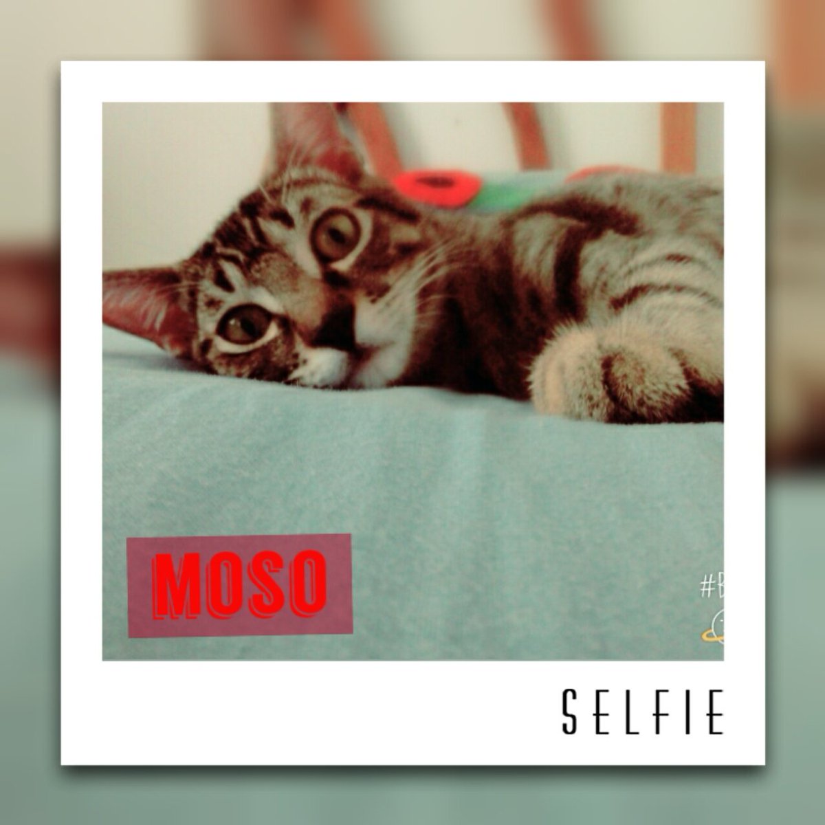 aleames24 tweet picture