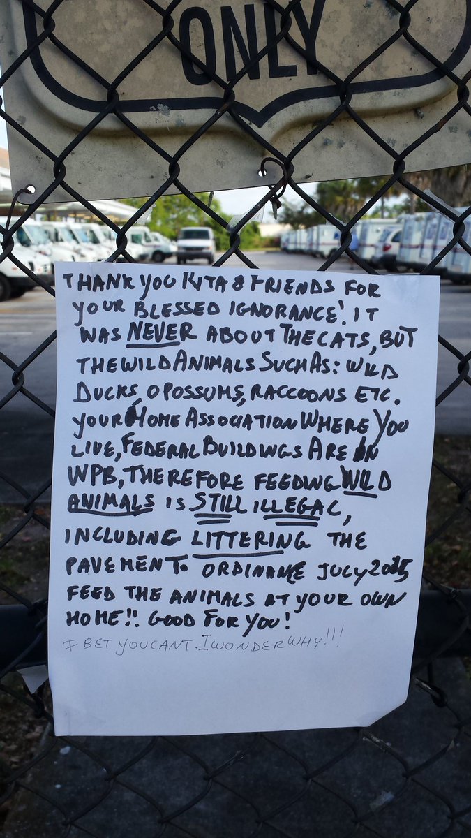 Boca Raton FL tweet media