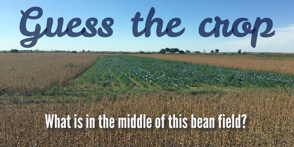 H3Yield's tweet photo. The first 3 correct answers to the question in the picture win a Helena YETI cup. DM your answer now! https://t.co/gTug4obpOU