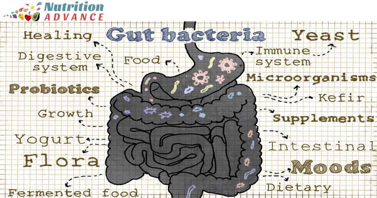 Nutradvance's tweet photo. Lifestyle has an incredibly important effect on our gut health. 
Here's what you need to know. https://t.co/JXoplZkHbc https://t.co/y4Rl7w5t9k