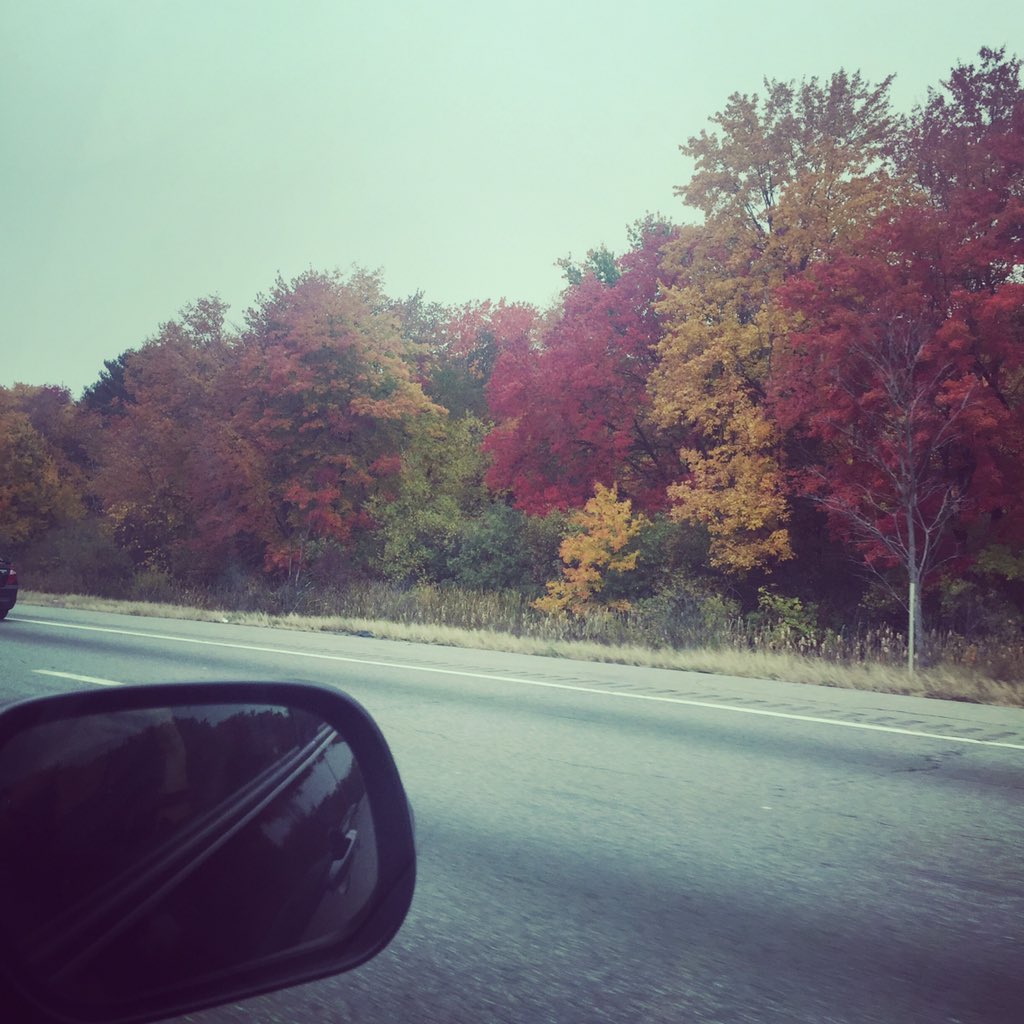 RobinNutrition's tweet image. Had a blast at this year's #FNCE catching up with my RDN friends! Time to hit the technicolored road #TravelTuesday