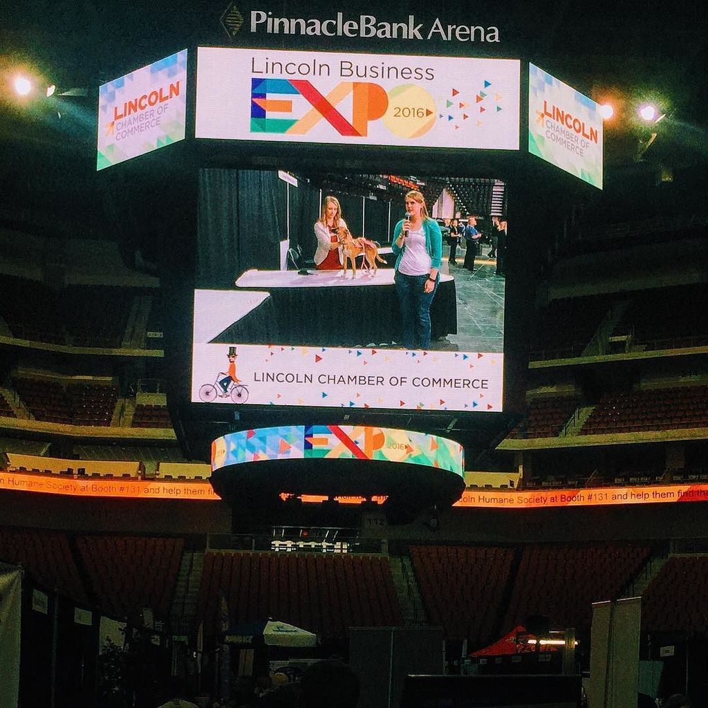 We had a great time speaking with several other local businesses today. Thanks to #lincolnchamberofcommerce  for pu…