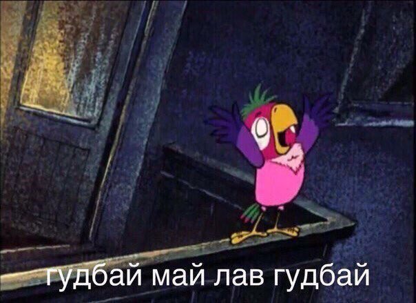 Наша встреча была ошибкой. Возвращение блудного попугая мультфильм 1984. Попугай Кеша гудбай май лав гудбай. Кеша попугай мультик. Я ему а он попугай Кеша