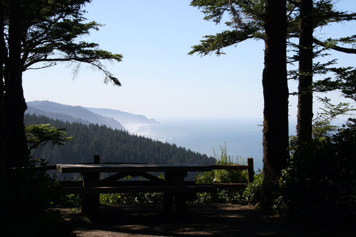 ForestServiceNW's tweet photo. Siuslaw NF, #Oregon gives visitors a thrilling chance to hear crashing waves &amp; walk among towering evergreens @ the same time #TravelTuesday https://t.co/FIktJR9k0H