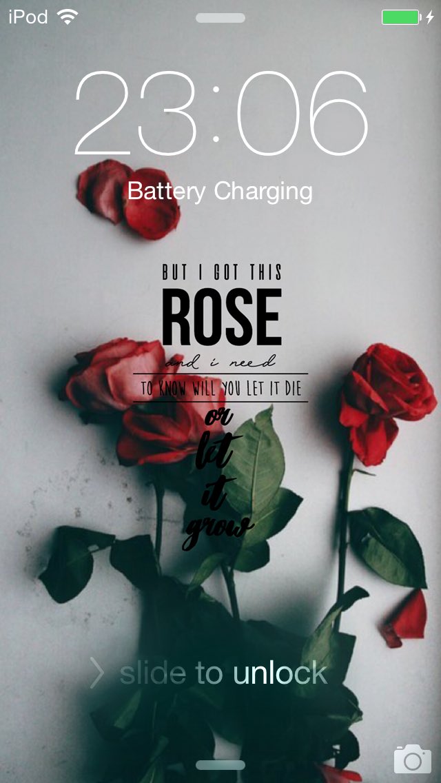 Locks on Twitter: "• shawn mendes 'roses' lyric 