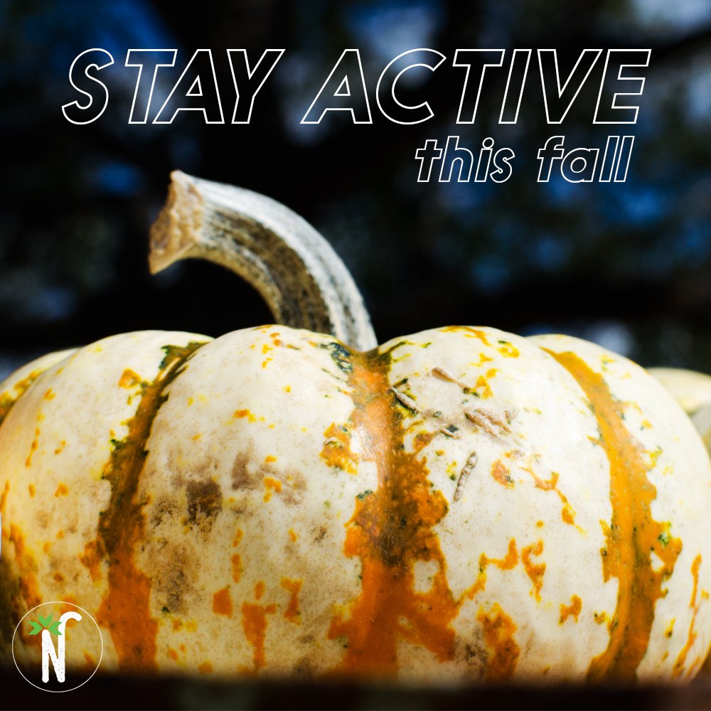 NOBONutrition's tweet photo. #tiptuesday Struggling with staying active this fall? We came up with a list of fun ways to keep active! Visit our blog for more. https://t.co/5hP0JhnKXx