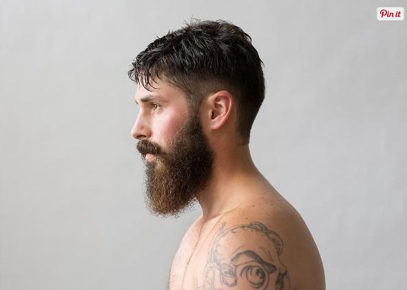 féasóg | beard tweet media