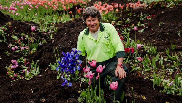 And so Floriade is all done for another year. #canberra canberratimes.com.au/act-news/flori…