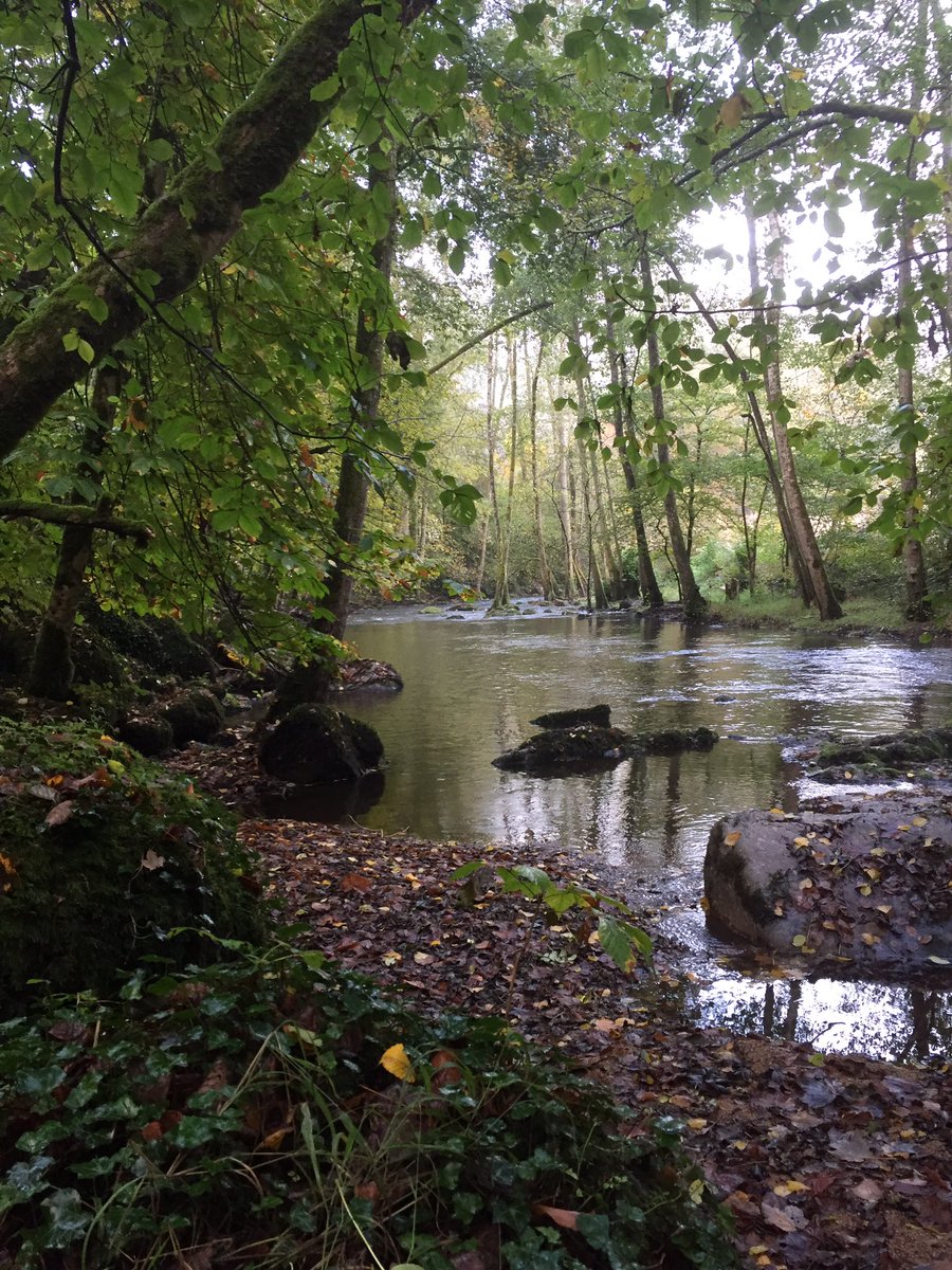 LeChameau1927's tweet photo. Behind the scenes: Day 1 of the @LeChameau1927 photoshoot - stunning scenery! 🍂🍁🌳🐫📸🎥#lechameau #maitrebottier #bottes #photoshoot @Michelin https://t.co/SMOtQ25NL1