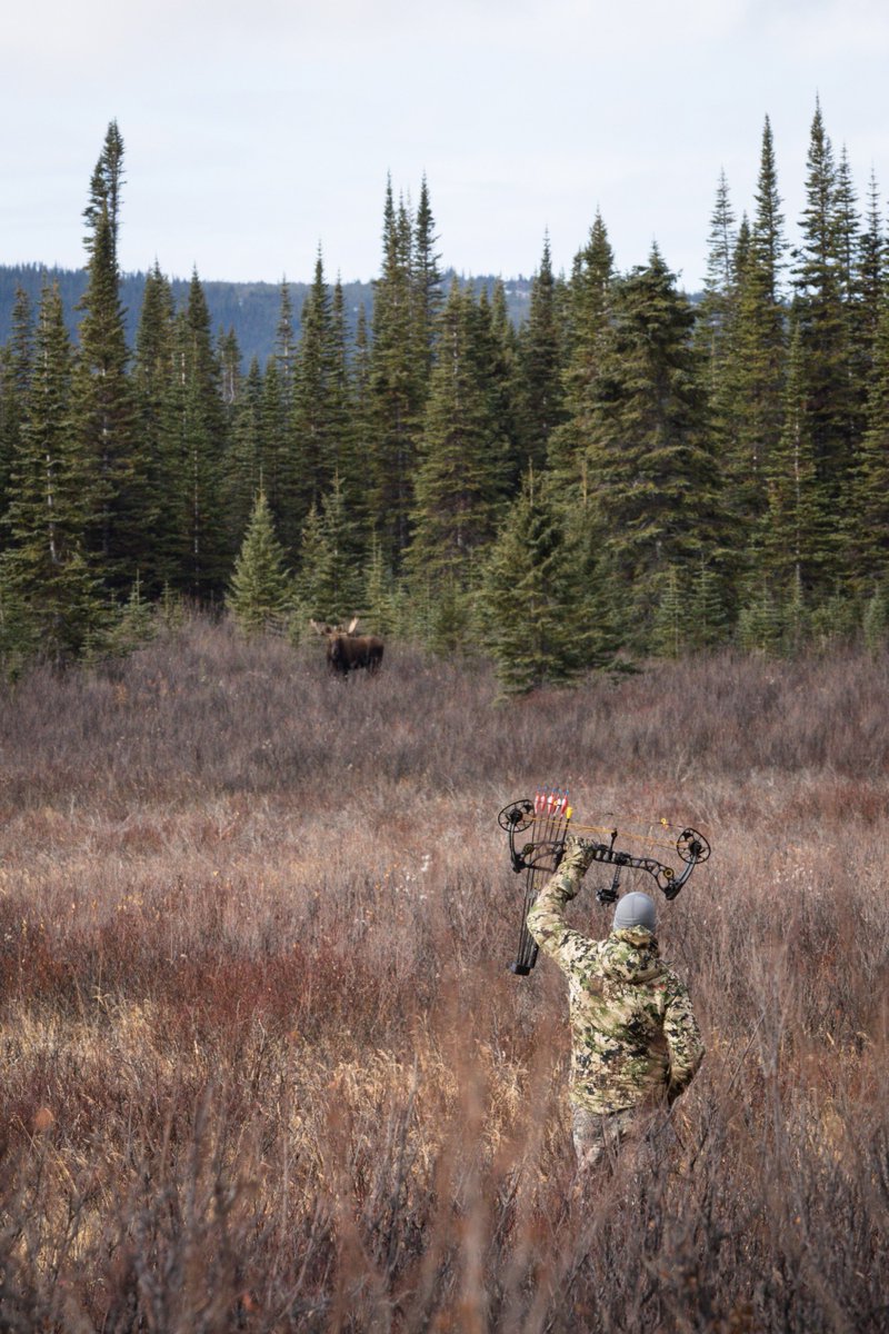 Kiviok Hight utilizing the most deadly moose decoy in his arsenal. #MathewsHalon

Location | British Columbia
Photo | Steven Drake

#mathews