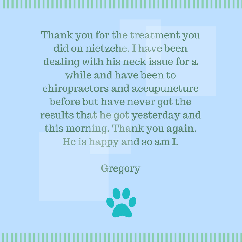 Fromtheheartvet's tweet photo. #mobilevet #veterinarian #petcare #animalcare #animals #lovingpets #customerreview #animallove #wecare #fromtheheartvet https://t.co/exLJKBsP0W