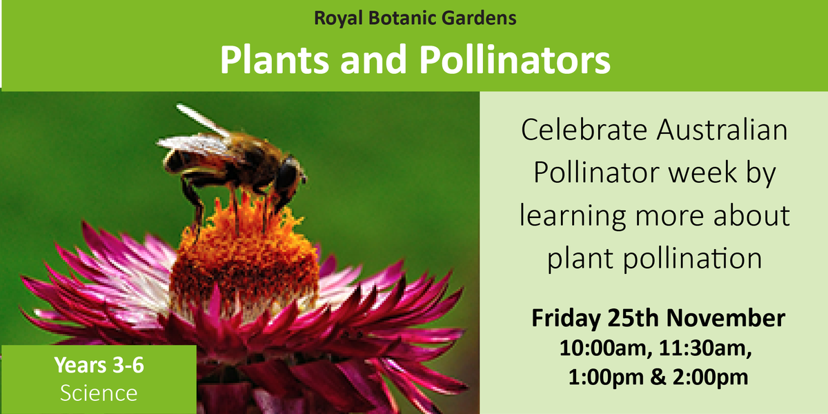 elbeducation's tweet photo. @RBGSydney bring you this #pollinatorweek event about the global importance of insect pollination! @VCExcursions https://t.co/O6yLQkfWal https://t.co/mzb0awLPLf