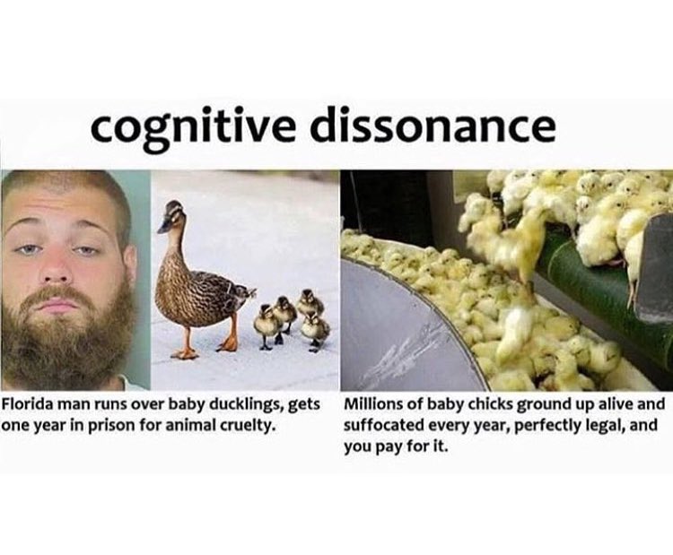 TheHumaneLeague's tweet photo. Cognitive dissonance is showing outrage about isolated cruelty but turning a blind eye to institutional, large-scale cruelty abuse. #vegan https://t.co/AvSPGnkWC2