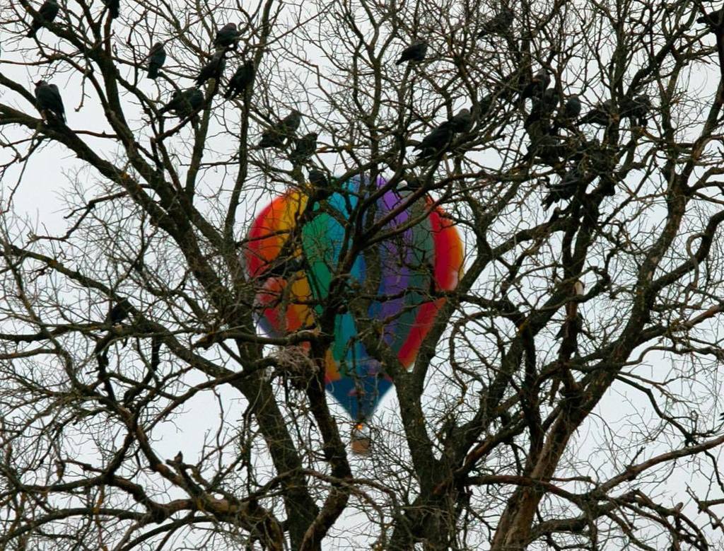 quadrobyte's tweet image. Черно-белая радуга ift.tt/2e46PPF