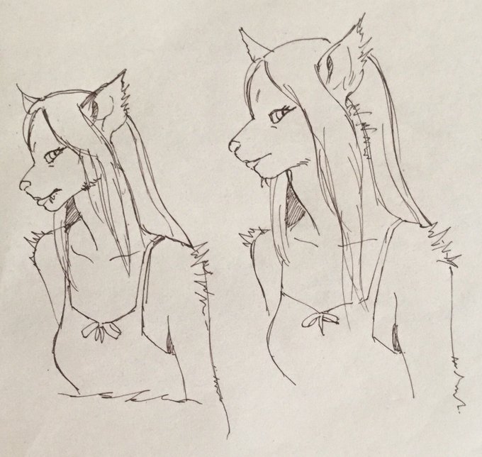 獣でも基本的なバランスが分かっていれば、応用が利くのだろう。

#模写
#お絵描き 