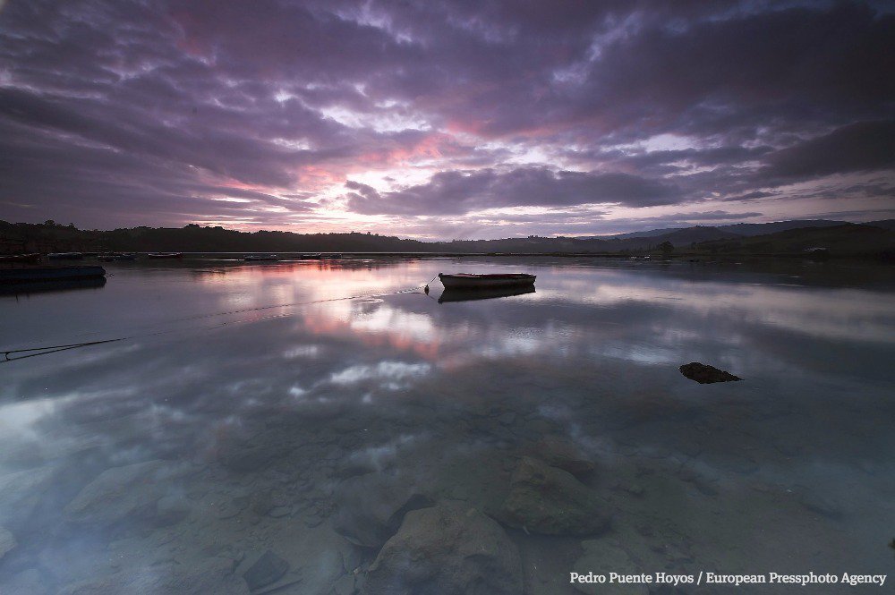 Seattle Times Photo tweet media