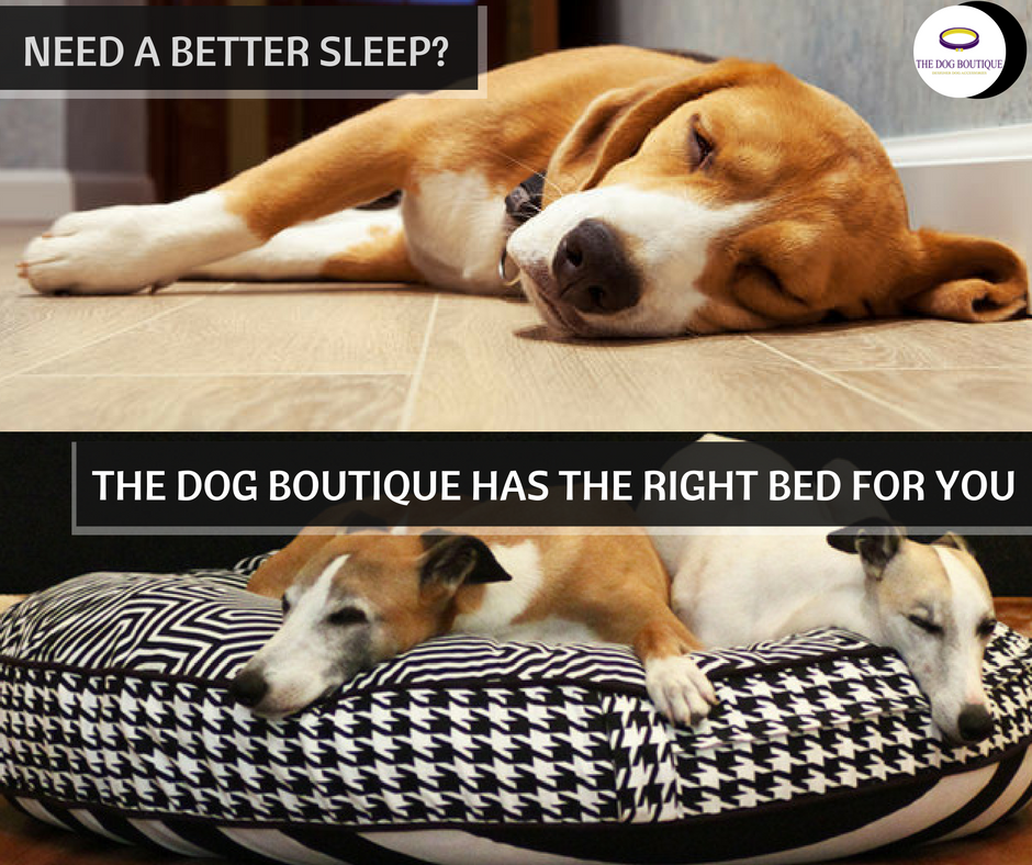 thedogboutique's tweet photo. Your #dog will feel like it’s floating on Cloud 9 on our blissful #Cloudbed
Exclusively Available on #thedogboutique
https://t.co/jxU2EOMAdH https://t.co/3oOJe8ieen