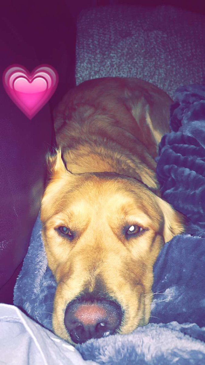 madisonscoutm's tweet photo. Hey friends.. my favorite girl in the world has not come home today... if you could say a prayer for us &amp; RT this, that would be so great. https://t.co/6gmDTslgmd