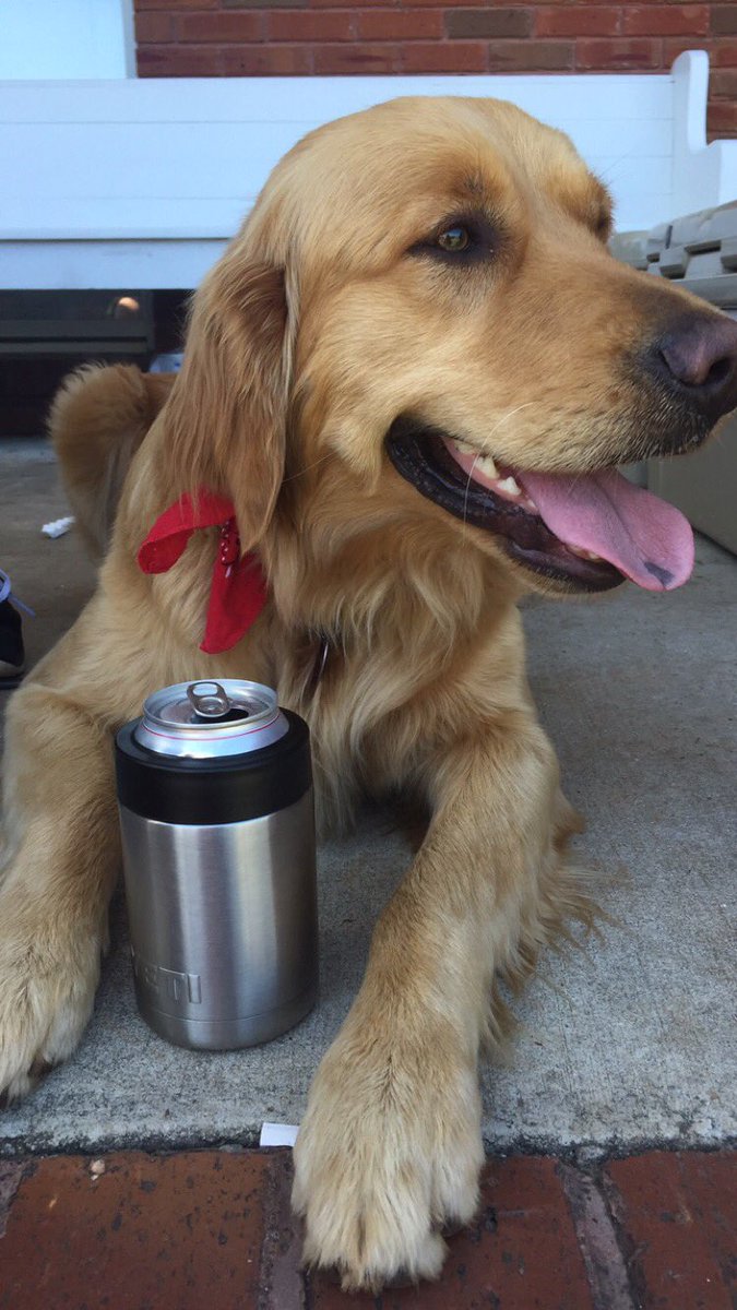 madisonscoutm's tweet photo. Hey friends.. my favorite girl in the world has not come home today... if you could say a prayer for us &amp; RT this, that would be so great. https://t.co/6gmDTslgmd