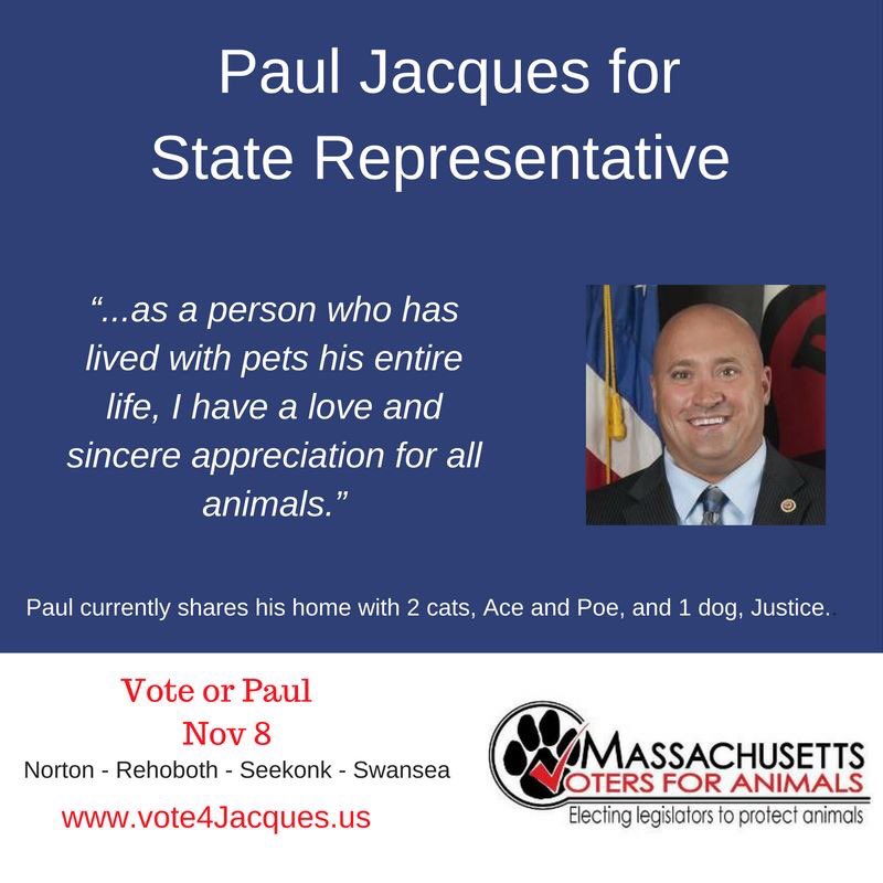 MAVotes4Animals's tweet photo. Vote for @vote4jacques! Norton, Swansea, Rehoboth &amp; Seekonk. https://t.co/2uuKMwLoWg
