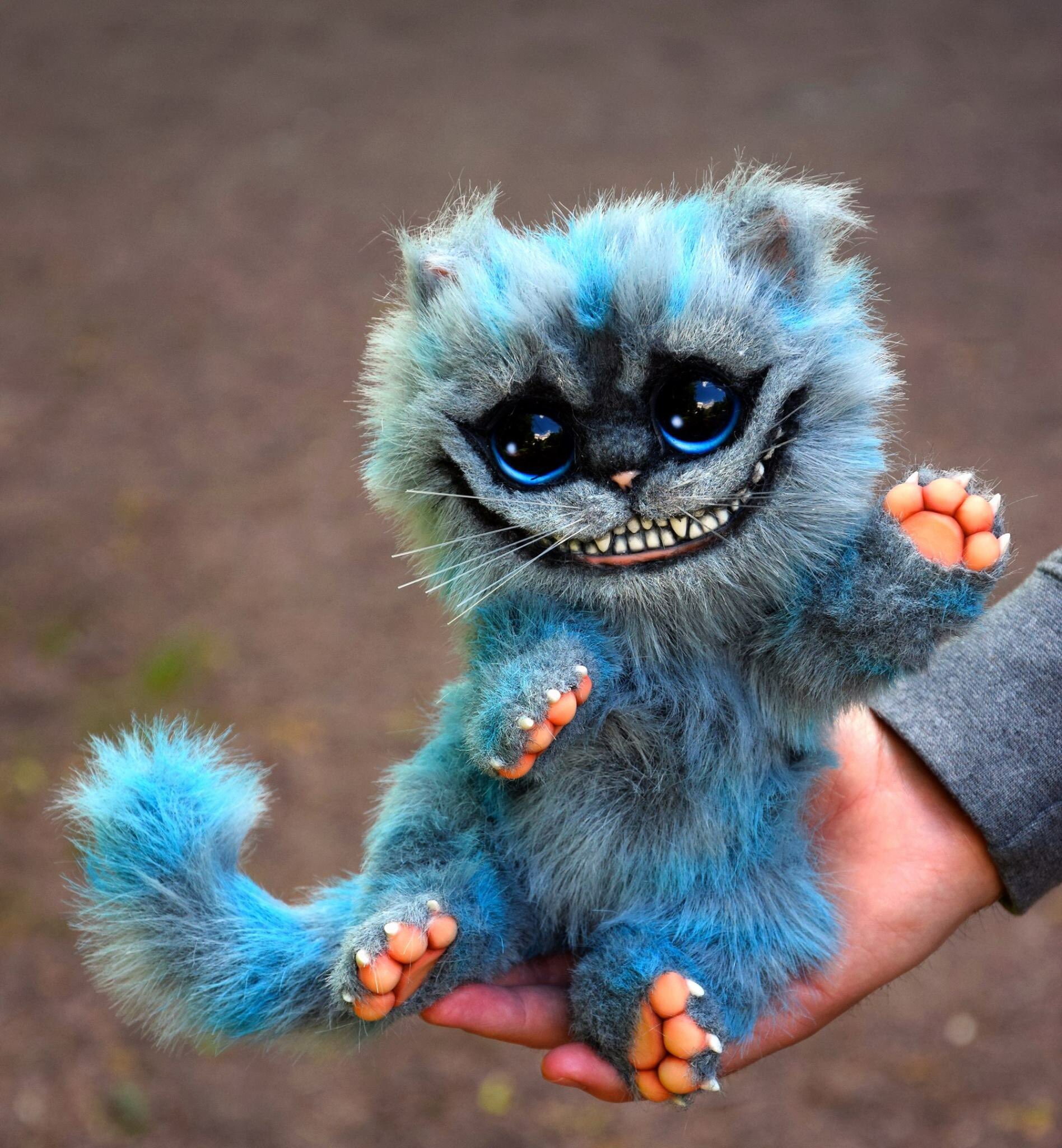 รวมกัน 91+ ภาพพื้นหลัง แมวในเรื่องอลิซ คมชัด