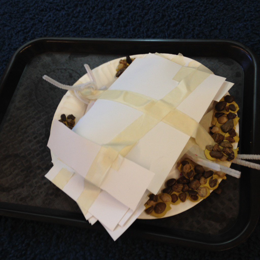 JanetConcodora's tweet photo. We huffed and we puffed , but we couldn't blow our houses down . Won the design house challenge ! So proud https://t.co/87AQUkqUTN