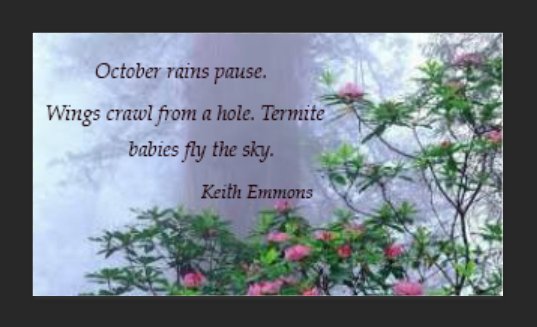 keithemmonsone's tweet image. California's life-giving rain has returned. Hooray!