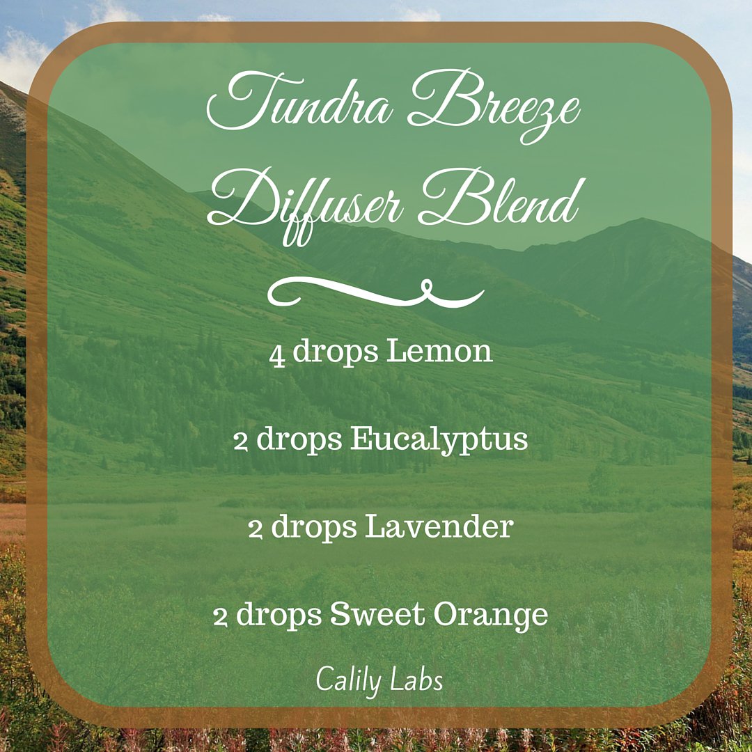 CalilyLife's tweet photo. It feels like summer has returned these... #lemon #eucalyptus #lavender #sweetorange #essentialoils #diffuserblend 
https://t.co/2slyMVJs5x https://t.co/UmxTQwktxS