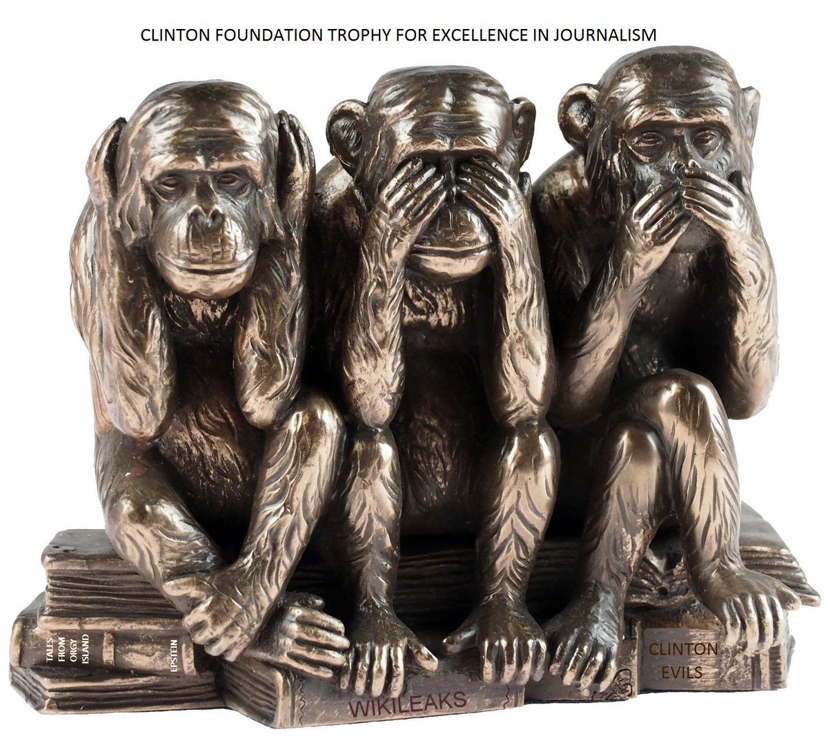 Hilohaw's tweet photo. I read that the ClintonFoundation has scheduled an award ceremony for excellence in journalism. The old trophy was a lapdog. #MSMmalpractice https://t.co/mGJ2cbiMg3