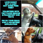 Photo by TinyPawsRescue (@TinyPawsResQ)