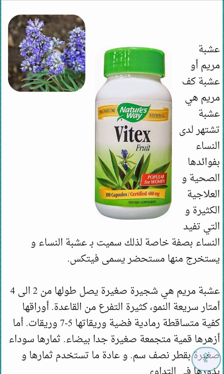 كل يوم معلومة طبية Dailymedicalinfo Com On Twitter ت ساعد عشبة كف مريم على علاج الإمساك و الانتفاخ و اضطرابات الجهاز الهضمي فهل سمعت عنها من قبل صحة طب عشبة كف مريم