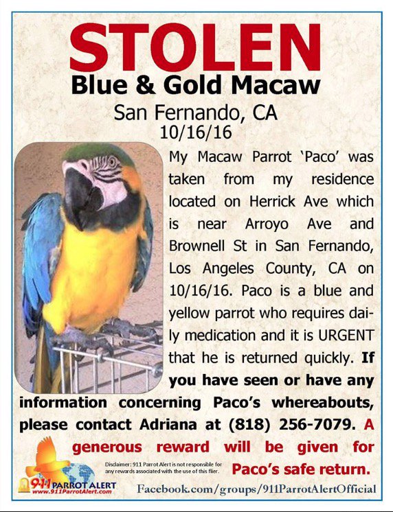 Helpology tweet media