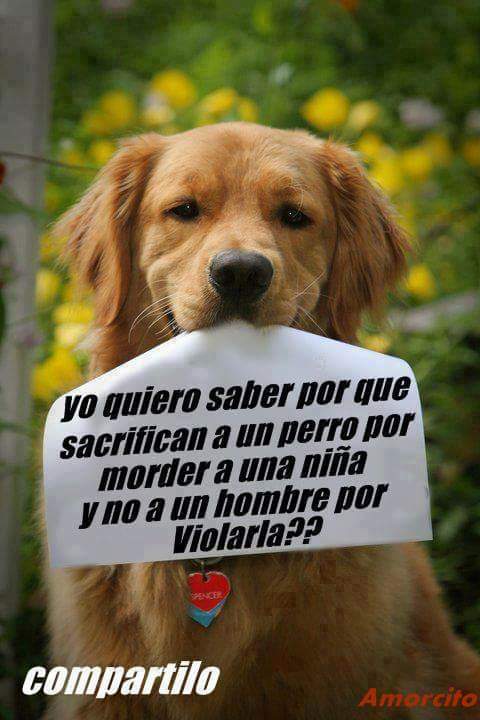 osornoinformado's tweet photo. #comunicaryservir https://t.co/pPk4Z5RPQe