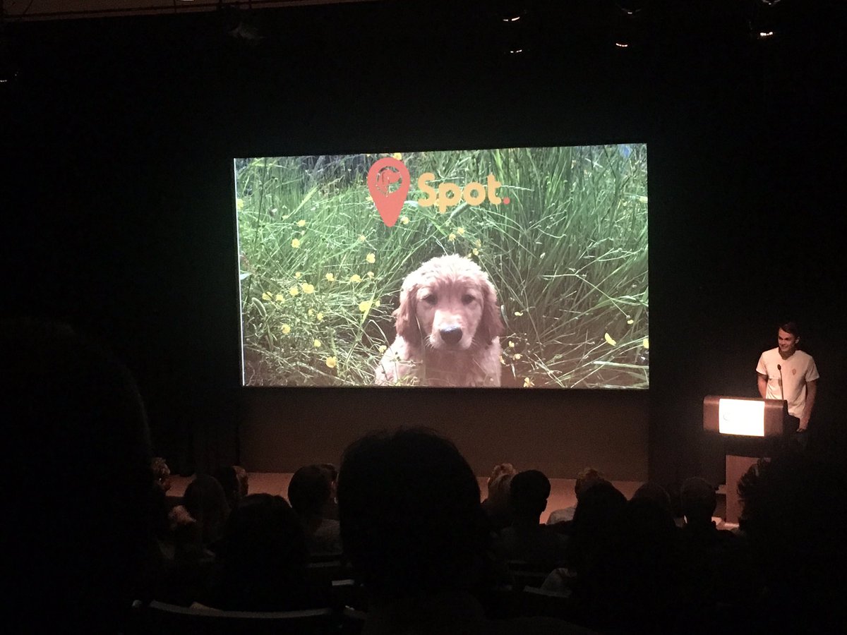 ChelseaBalsdon's tweet photo. For all my fellow #yyc dog owners take a peak at @spotcanada for on-demand pre-vetted dog walking services. #SCLP2016 #uberfordogs https://t.co/Y8TrK407Ld