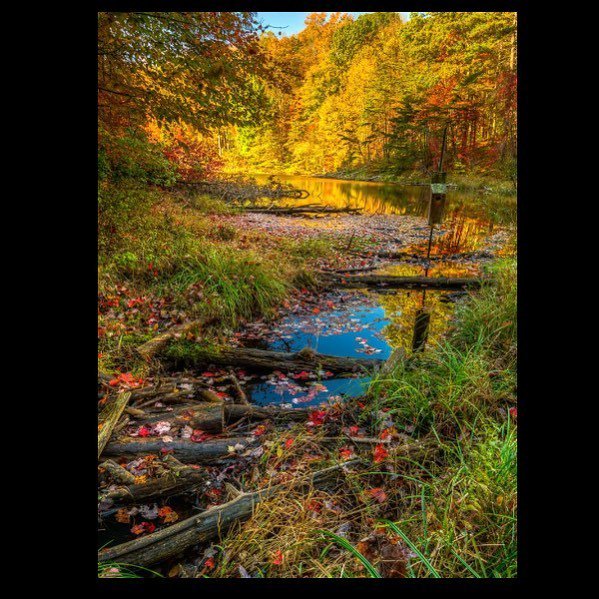 GregUrbanyi's tweet photo. Rose Lake  #autumn @ohiogram @ohiodnr @ohiostateparklodges @ohiopix @ourohio @myhockinghills #ohiotrip #ourohio #wa… https://t.co/ytwTI9qsKC
